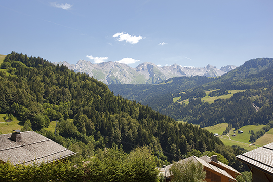 Chalet Chalet Marin - photo 1